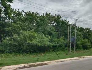 3.25 Acres for Sale in Diani - Main Road Frontage