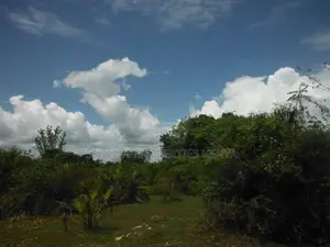 3.5 Acre Plot for Sale in Msambweni