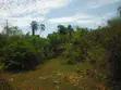 3.5 Acre Plot for Sale in Msambweni - 2