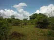 3.5 Acre Plot for Sale in Msambweni - 4