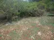 3.5 Acre Plot for Sale in Msambweni - 5