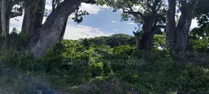 Beachfront Plots for Sale in Shimoni - KES 13M Per Acre