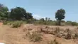 Kitalu cha 0.25 Ekari Galu, Diani - 2