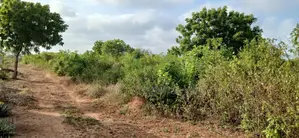 Kitalu cha Robo-Acre cha Kuuzwa Galu Kinondo