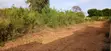 Kitalu cha Robo-Acre cha Kuuzwa Galu Kinondo - 3