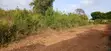 Kitalu cha Robo-Acre cha Kuuzwa Galu Kinondo - 4