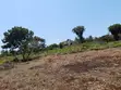 Kitalu cha 0.25 Ekari Diani, Eneo la Galu - 2