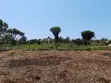Kitalu cha 0.25 Ekari Diani, Eneo la Galu - 4