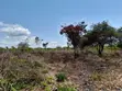 Kitalu cha 0.25 Ekari Diani, Eneo la Galu - 5