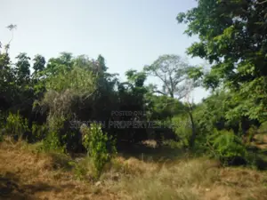 Kiwanja cha Ekari 0.25 Shimoni Kinachoangalia Kisiwa cha Wasini