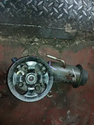 Power Steering Pump for Toyota Probox, NZE
