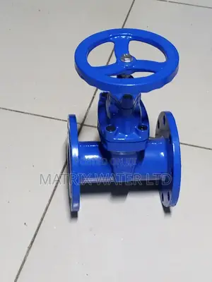 Sluice Valve