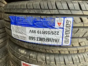 Goodyear 225/55R19 Tire
