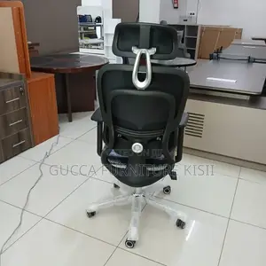 Office Chair - Lumbar Support Orthopedic