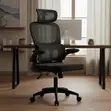 High Back Ergonomic Office Chair - 1