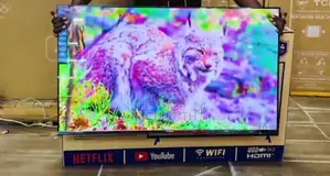 Vitron Whale OS 43 Inch Smart TV