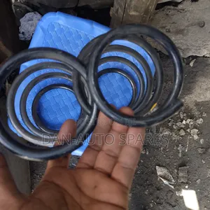 Heavy Duty Rear Springs for Neta