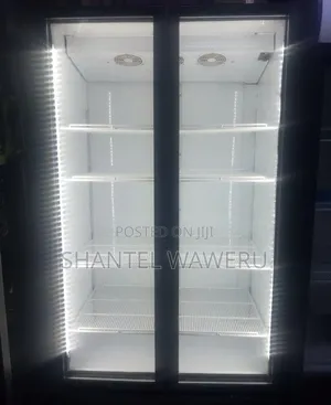 Friji ya Milango Miwili / Chiller