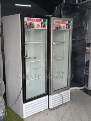 Friji ya Biashara ya Kuonyeshea Bidhaa Lita 300