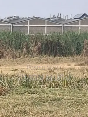Industrial Land 5 Acres Ruiru Thika Road Behind Dr. Mattress