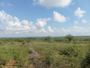26 Acre Commercial Land Shangia