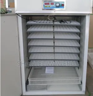 Automatic Egg Incubator 64-5280 Eggs