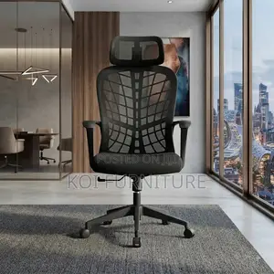 Ergonomic Office Chairs with Web Backrest