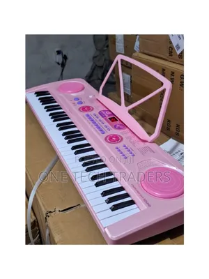 Professional Piano with In-Built Battery