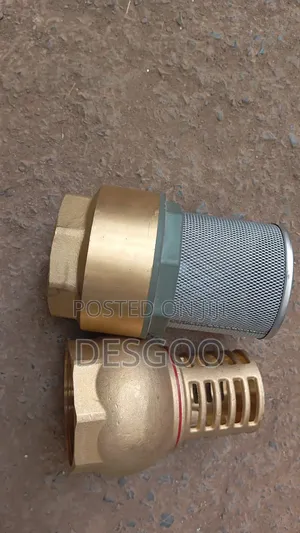 Foot Valve 3 Inch
