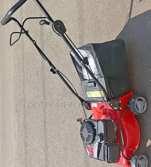 Mashine ya Kukatia Nyasi ya Petroli
