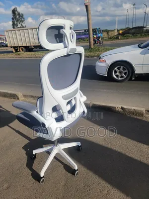 Orthopedic Office Chair with Headrest