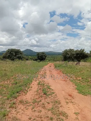Matuu 50x100 Plot