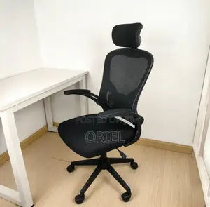 Ergonomic Mesh Office Chair with Foldable Armrests