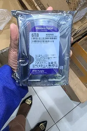 6TB WD Purple Hard Drive ya Ulinzi