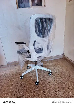 Ergonomic Mesh Adjustable Office Chair