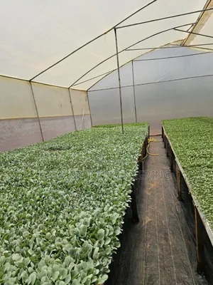 Greenhouse Installation Services
