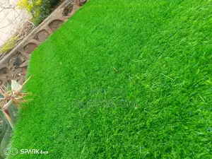 Artificial Grass Carpet with Professional Installation