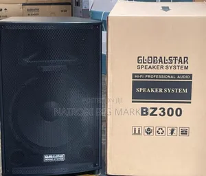 Globalstar BZ300 15" Amplifier Speaker