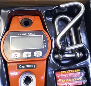 300kg Portable Crane Scale with Strong Hook