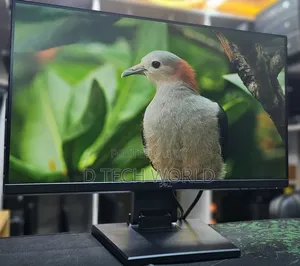 Dell P2219H 22 Inch Monitor