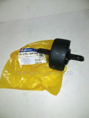 Bush Trailing Arm Rear Hyundai Santa Fe 2012