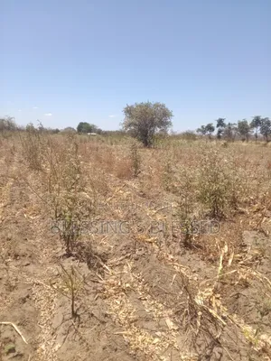 Kiwanja cha Kithyoko cha Matumizi Mchanganyiko Kinauzwa