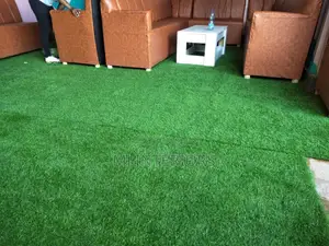 Zulia la Nyasi Bandia Lisilohitaji Matunzo Mengi kwa Nyumba za Kisasa