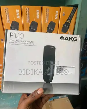 Original AKG P120 Studio Condenser Microphone