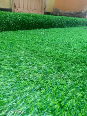 Decorative Artificial Grass for Interior and Exterior Spaces