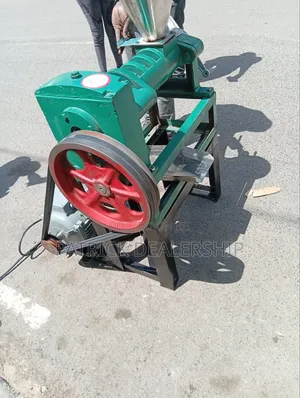 Divo Commercial Oil Pressing Machine