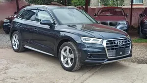 Audi Q5 2.0T Premium AWD Quattro 2019 Rangi Kijivu
