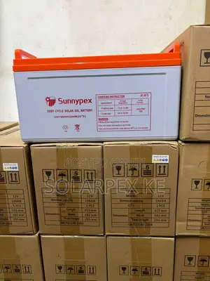 Sunnypex NP-12V 100Ah Deep Cycle Battery