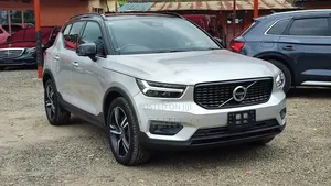Volvo XC40 R-Line 2019 Silver