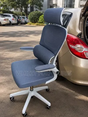 Modern Ergonomic Office Chair